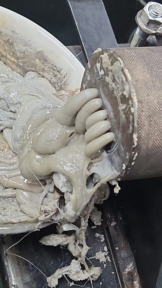 Extrusión de material en un sistema de proceso propio de Neurovanta